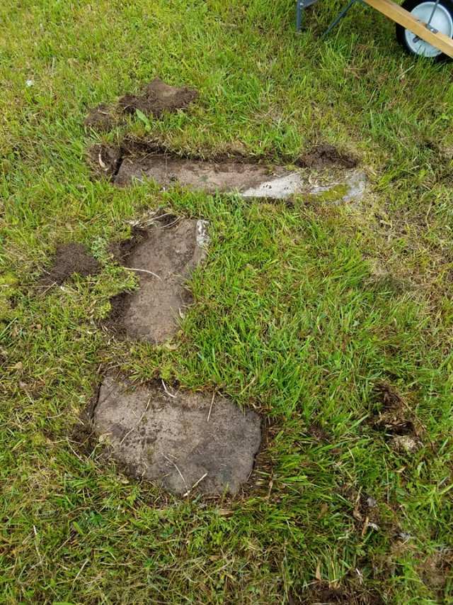 33753373_10160349454185632_4643533746388074496_n